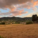 Lucciano Quarrata