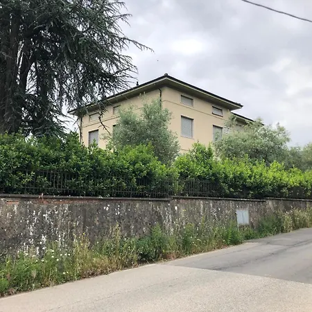 Lucciano Daire *