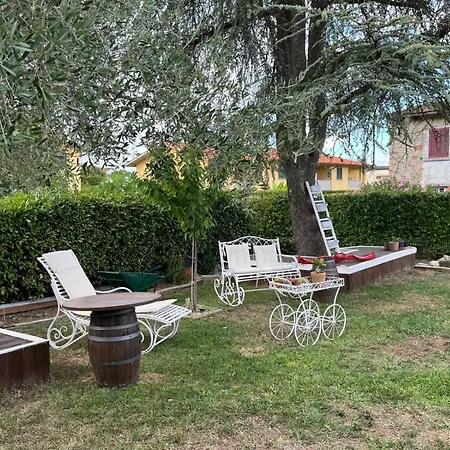 Lucciano Daire Quarrata